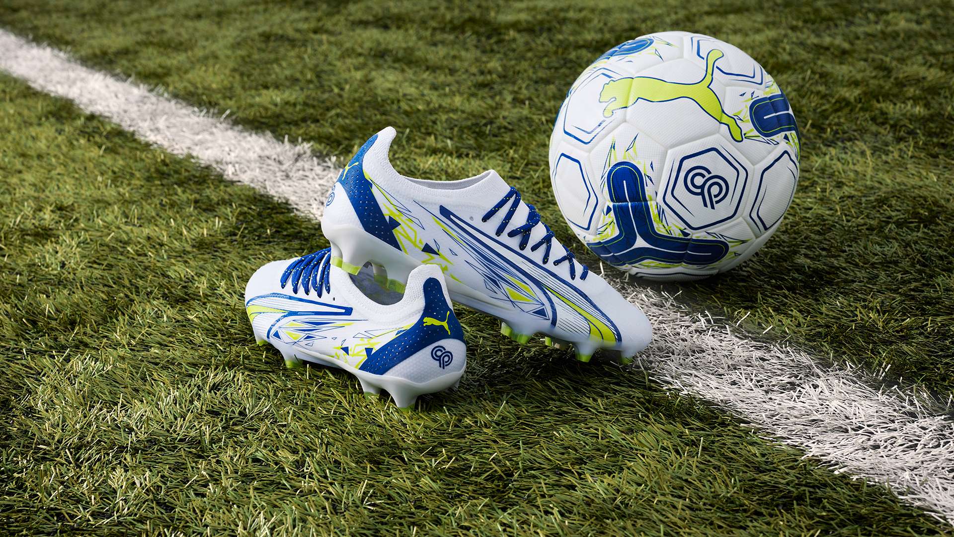 胆的决定迅 胆的决定迅